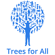 trees for all teambuilding Huddersfield